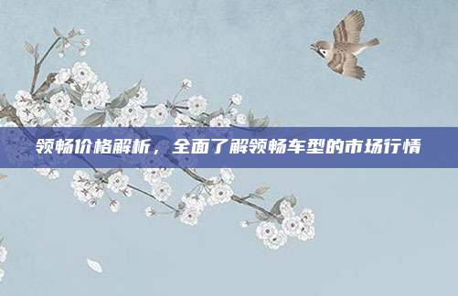 领畅价格解析,全面了解领畅车型的市场行情