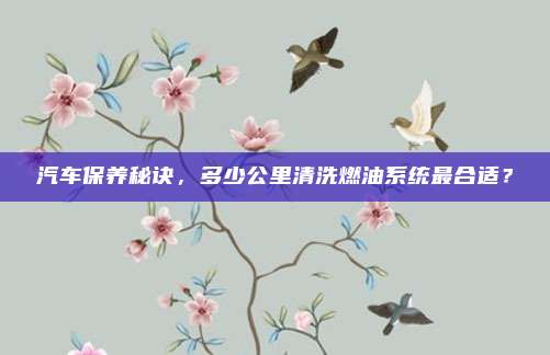 汽车保养秘诀,多少公里清洗燃油系统最合适?