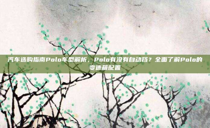 汽车选购指南Polo车型解析,Polo有没有自动挡?全面了解Polo的变速箱配置