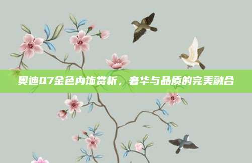 奥迪Q7金色内饰赏析,奢华与品质的完美融合