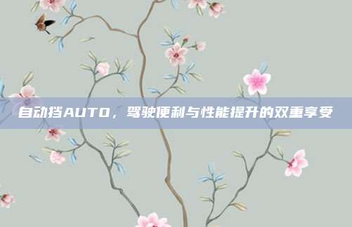 自动挡AUTO,驾驶便利与性能提升的双重享受