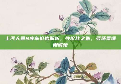 上汽大通9座车价格解析,性价比之选,多场景适用解析