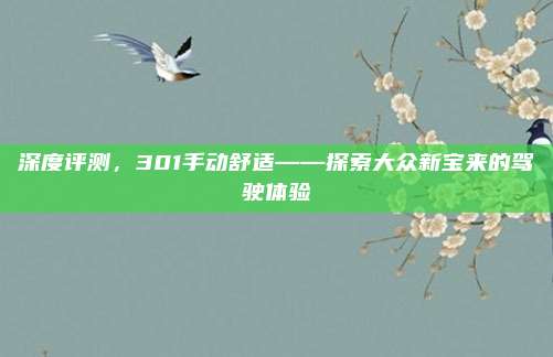 深度评测,301手动舒适——探索大众新宝来的驾驶体验