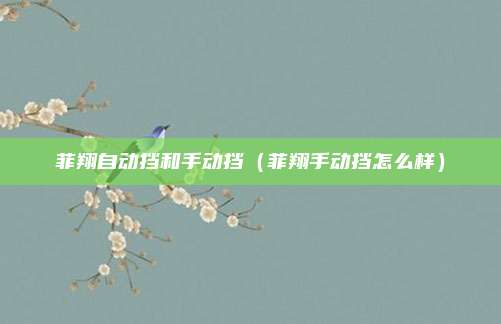 菲翔自动挡和手动挡(菲翔手动挡怎么样)