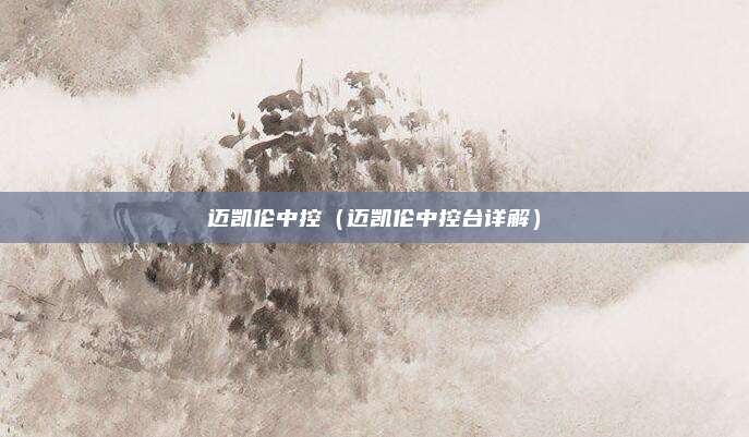 迈凯伦中控（迈凯伦中控台详解）