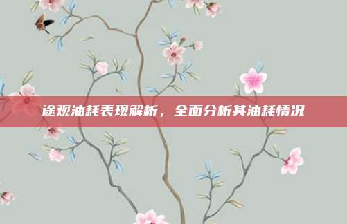 途观油耗表现解析,全面分析其油耗情况