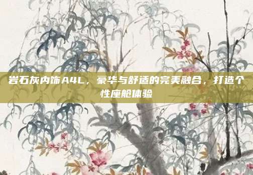 岩石灰内饰A4L,豪华与舒适的完美融合,打造个性座舱体验