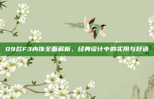 09款F3内饰全面解析,经典设计中的实用与舒适
