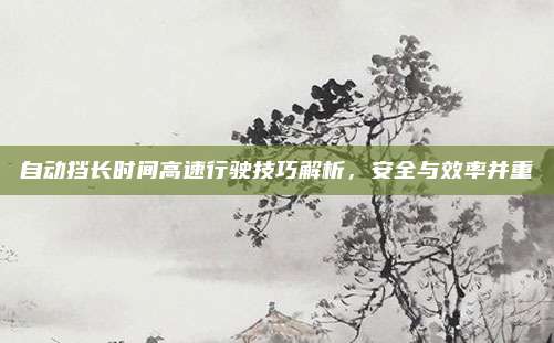 自动挡长时间高速行驶技巧解析,安全与效率并重