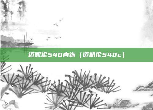 迈凯伦540内饰（迈凯伦540c）