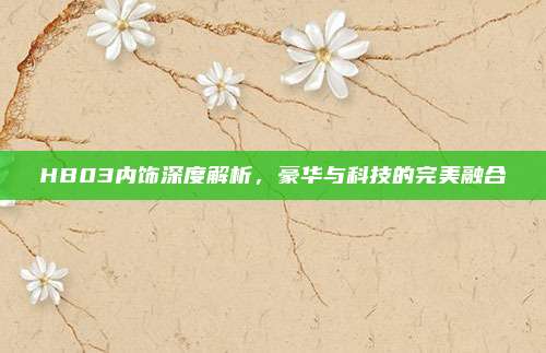 HB03内饰深度解析,豪华与科技的完美融合