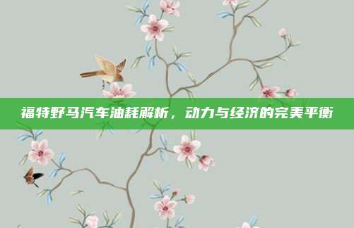 福特野马汽车油耗解析,动力与经济的完美平衡