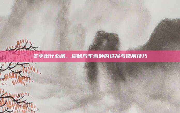 冬季出行必备,揭秘汽车雪种的选择与使用技巧