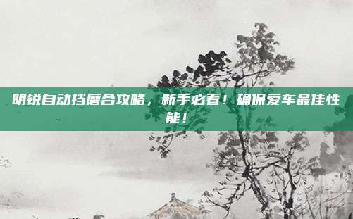 明锐自动挡磨合攻略,新手必看!确保爱车最佳性能!