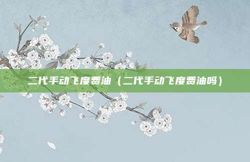 二代手动飞度费油（二代手动飞度费油吗）