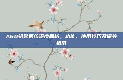 A60钥匙系统深度解析,功能、使用技巧及保养指南