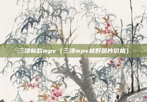 三凌新款mpv(三凌mpv越野图片价格)
