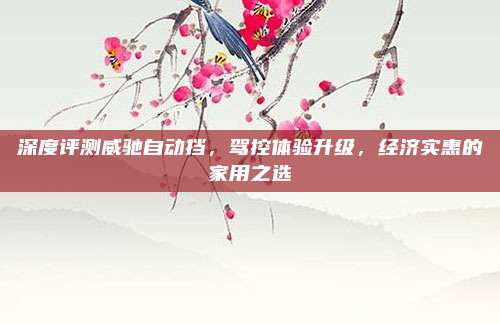 深度评测威驰自动挡,驾控体验升级,经济实惠的家用之选