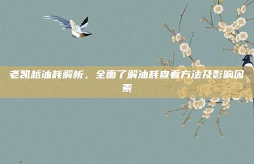 老凯越油耗解析,全面了解油耗查看方法及影响因素