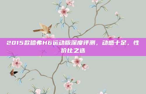 2015款哈弗H6运动版深度评测,动感十足,性价比之选
