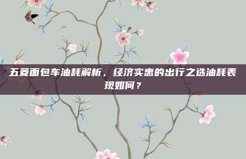 五菱面包车油耗解析,经济实惠的出行之选油耗表现如何?