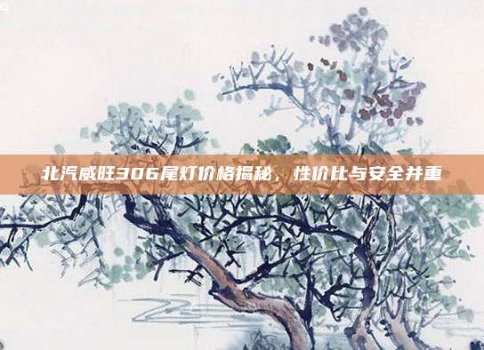 北汽威旺306尾灯价格揭秘，性价比与安全并重