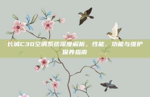 长城C30空调系统深度解析,性能、功能与维护保养指南