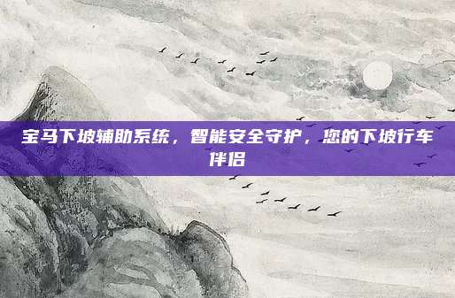 宝马下坡辅助系统,智能安全守护,您的下坡行车伴侣