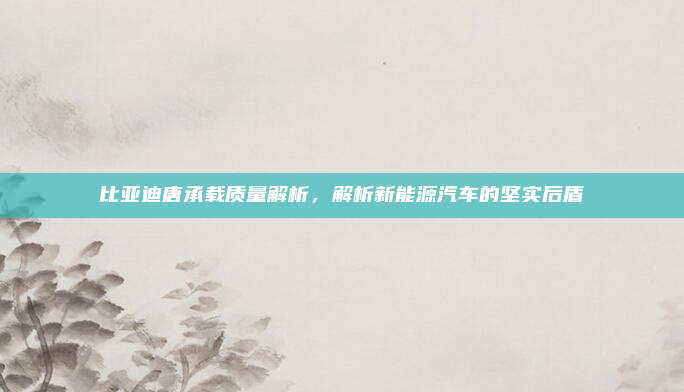 比亚迪唐承载质量解析,解析新能源汽车的坚实后盾