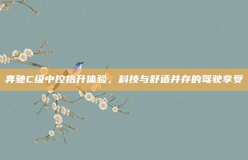 奔驰C级中控抬升体验，科技与舒适并存的驾驶享受
