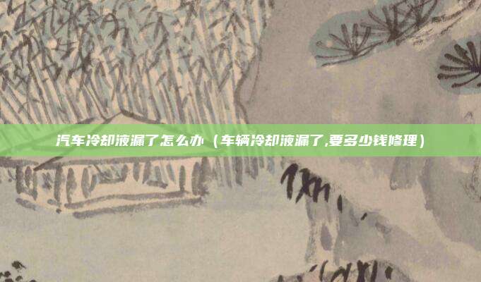 汽车冷却液漏了怎么办（车辆冷却液漏了,要多少钱修理）