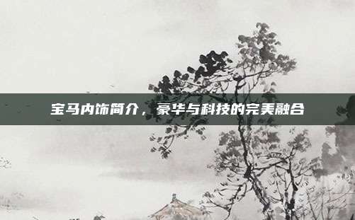 宝马内饰简介,豪华与科技的完美融合
