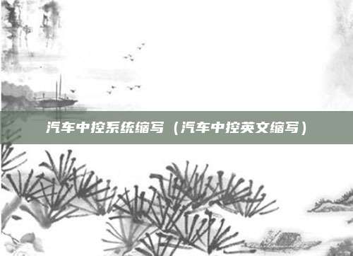 汽车中控系统缩写(汽车中控英文缩写)