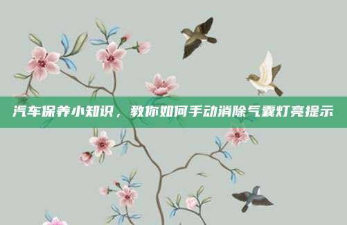 汽车保养小知识,教你如何手动消除气囊灯亮提示