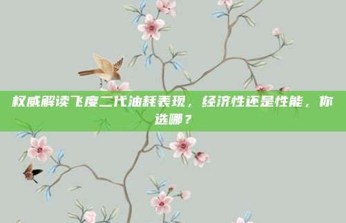 权威解读飞度二代油耗表现,经济性还是性能,你选哪?