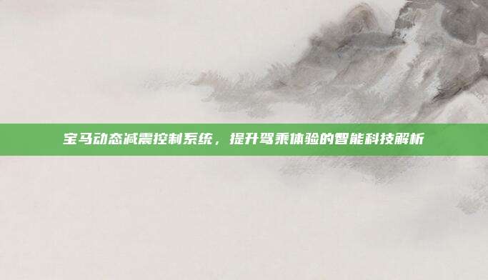 宝马动态减震控制系统,提升驾乘体验的智能科技解析