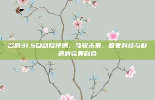 名爵31.5自动挡评测,驾驭未来,感受科技与舒适的完美融合