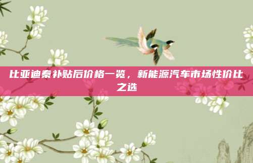 比亚迪秦补贴后价格一览,新能源汽车市场性价比之选