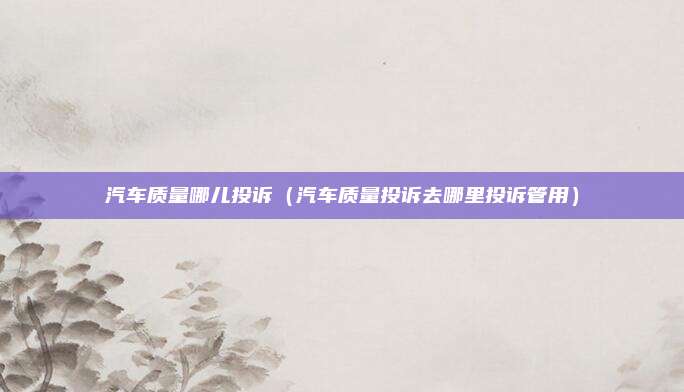 汽车质量哪儿投诉（汽车质量投诉去哪里投诉管用）