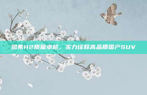 哈弗H2质量卓越,实力诠释高品质国产SUV