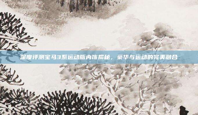 深度评测宝马3系运动版内饰揭秘,豪华与运动的完美融合