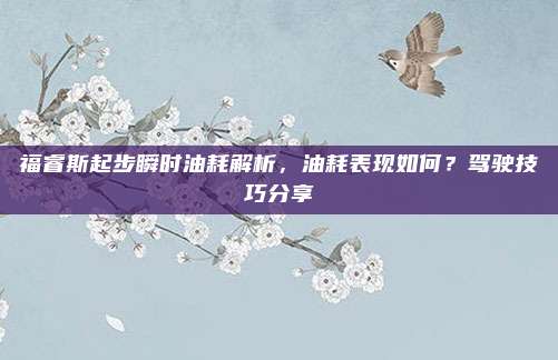 福睿斯起步瞬时油耗解析,油耗表现如何?驾驶技巧分享