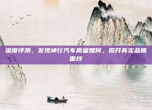 深度评测,发现神行汽车质量如何,揭开真实品质面纱
