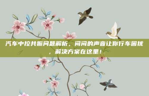 汽车中控共振问题解析,闷闷的声音让你行车困扰,解决方案在这里!