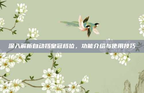 深入解析自动挡皇冠档位,功能介绍与使用技巧
