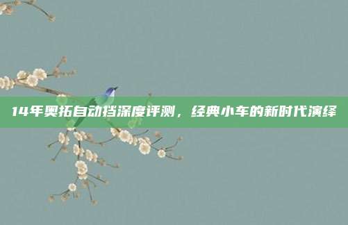 14年奥拓自动挡深度评测,经典小车的新时代演绎