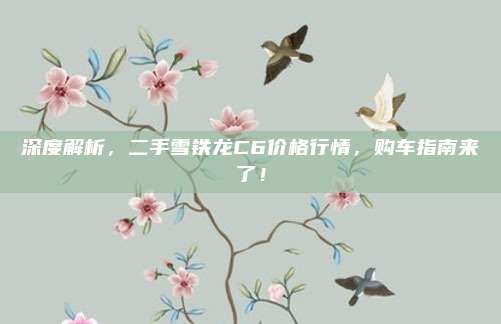 深度解析,二手雪铁龙C6价格行情,购车指南来了!