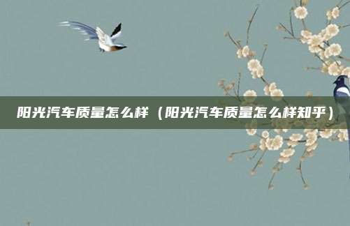 阳光汽车质量怎么样（阳光汽车质量怎么样知乎）