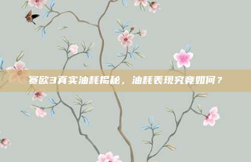 赛欧3真实油耗揭秘,油耗表现究竟如何?