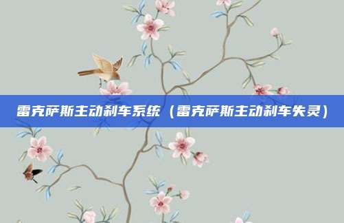 雷克萨斯主动刹车系统（雷克萨斯主动刹车失灵）